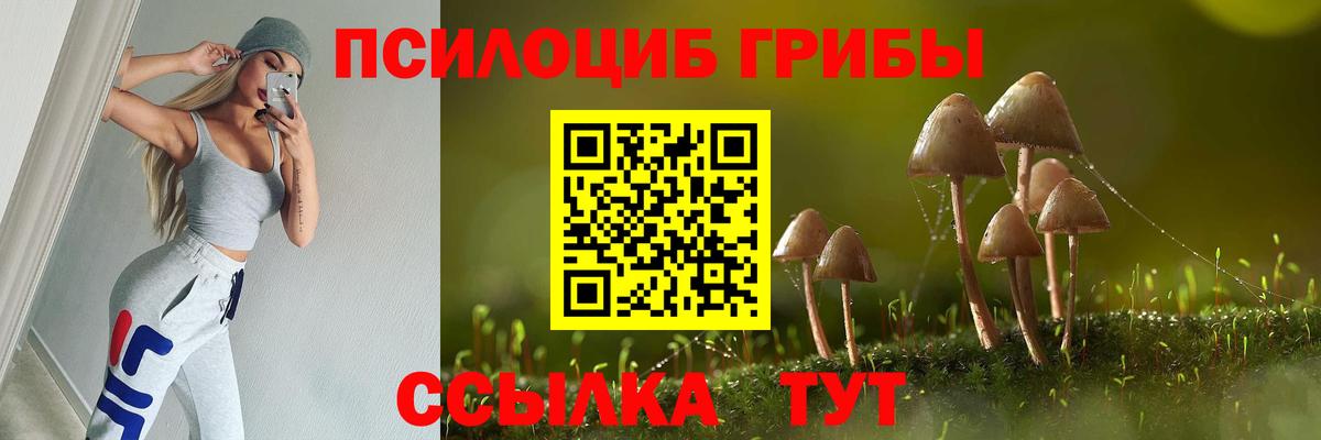 Шуя  Галлюциногенные грибы ЛСД  Вход с VPN  Псилоцибиновые грибы MAGIC MUSHROOMS 